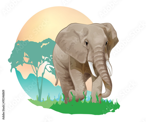 elephant