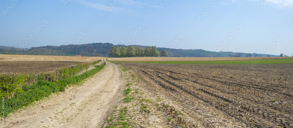 Dirt road through sunny farmland in spring Dirt road through sunny farmland in spring