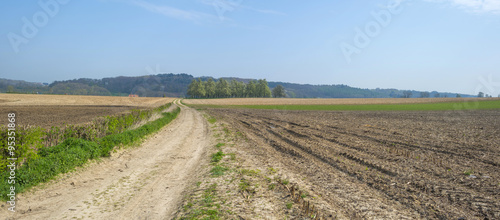 Dirt road through sunny farmland in spring 