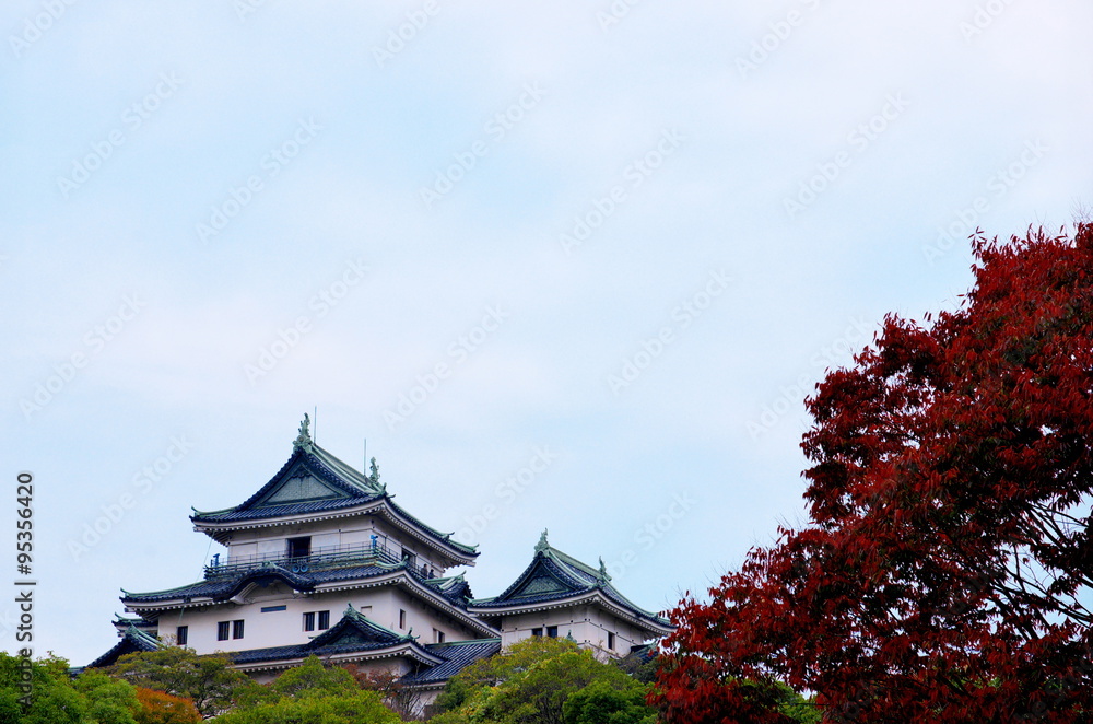 紅葉と和歌山城