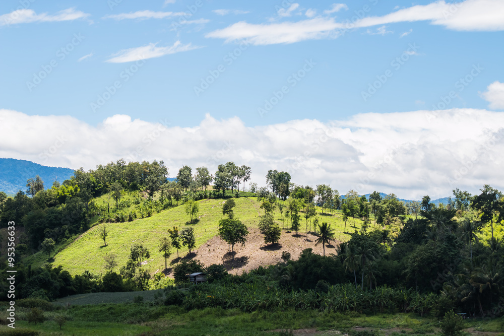 landscape at countryside