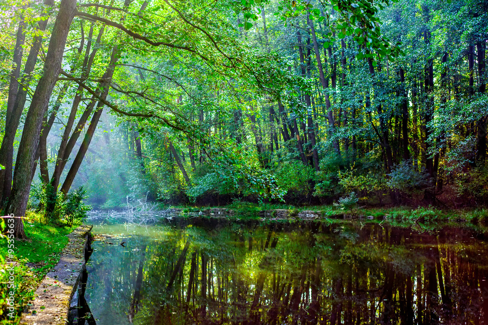 Beautiful forest lake with sun rays Beautiful forest lake with sun rays