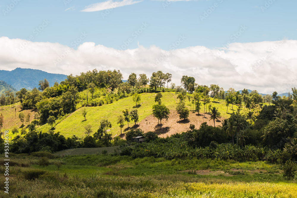 Obraz premium landscape at countryside