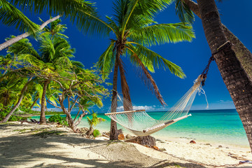Acrylglasbilder Tropischer Strand Leere Hängematte unter Palmen auf Fiji  © Martin Valigursky