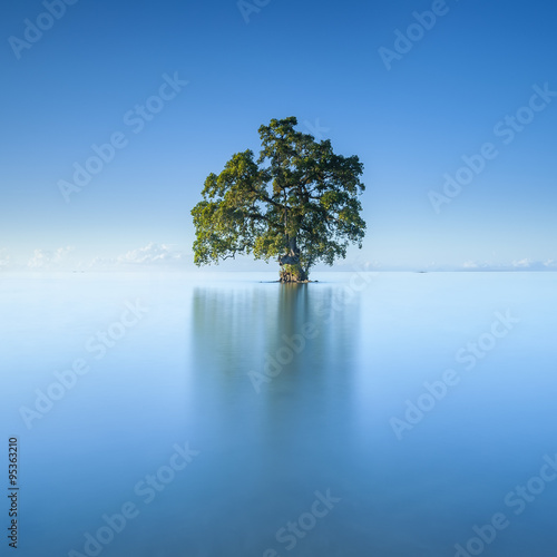 A single lonely tree in a blue sky morning in the Lahad Datu beach, Sabah Borneo Malaysia