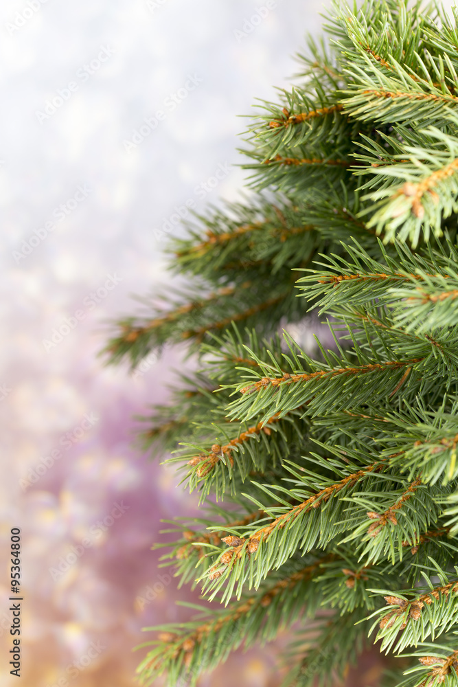 Pine. Pine.