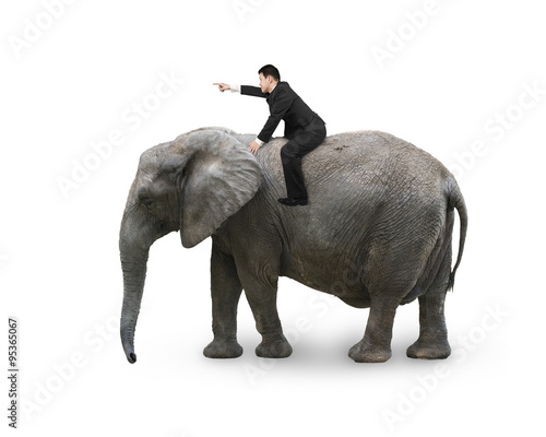 Fototapeta Man with pointing finger gesture riding on walking elephant