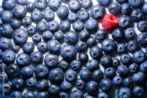 Tapety artystyczne Blueberry Field 3