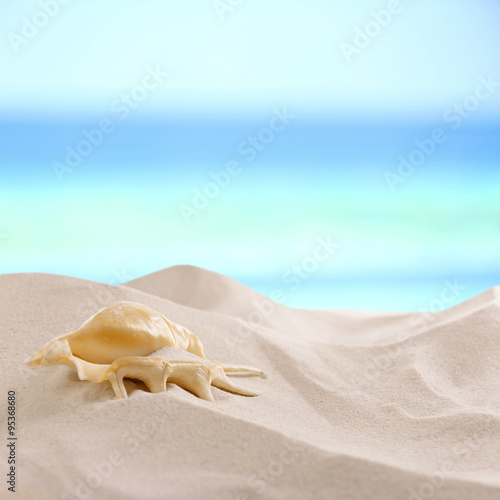 Seashell and sand on sea background