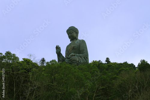 big Buddha in the jungle
