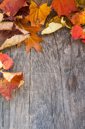 Fotografie Autumn leaves on a wooden background