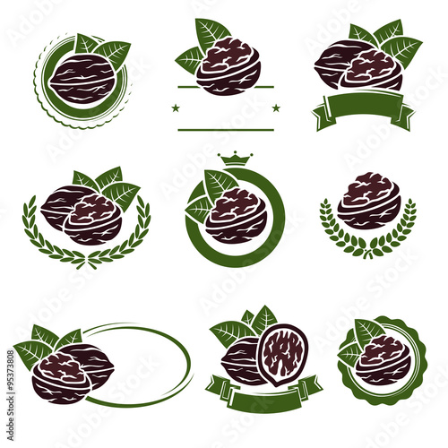 Walnut nuts labels and elements set. Vector