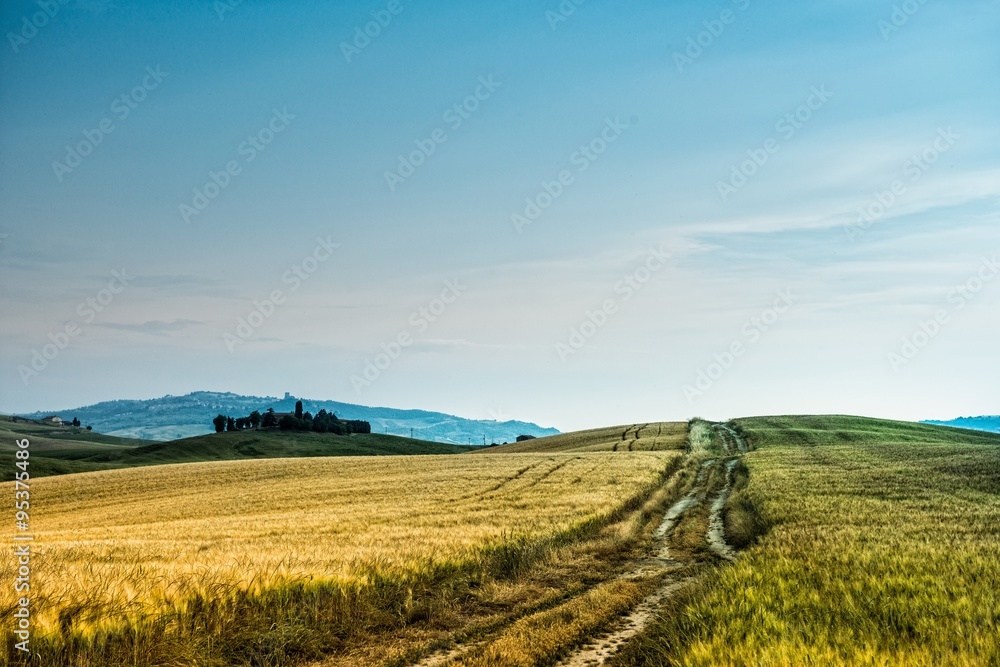 summer landscape of Tuscany, Italy.