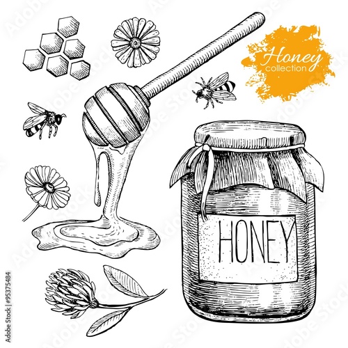 Vector honey set. Vintage hand drawn illustration.