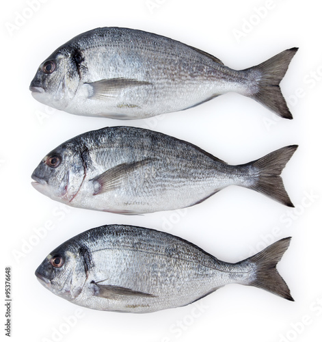 Dorado fish isolated on white background with clipping path