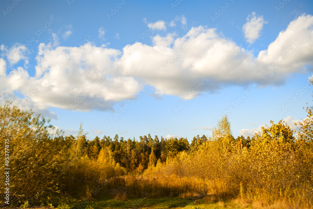 Sunny Day in Mamontovka Village