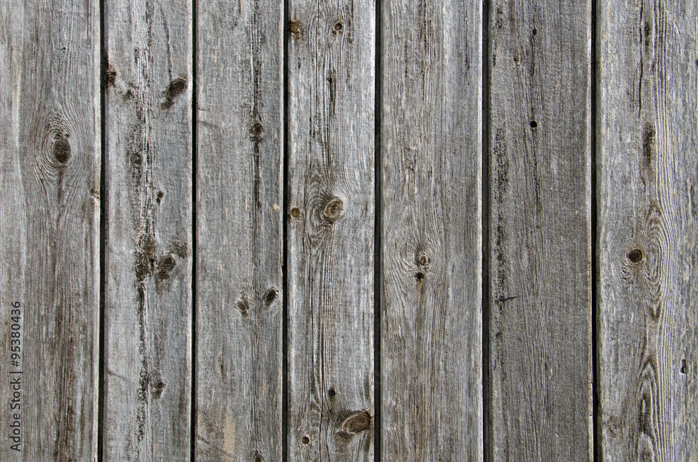 Fototapeta premium Holz