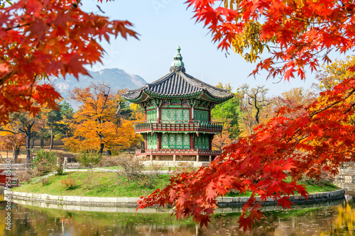 Canvas Print Gyeongbukgung and Maple tree in autumn in korea.