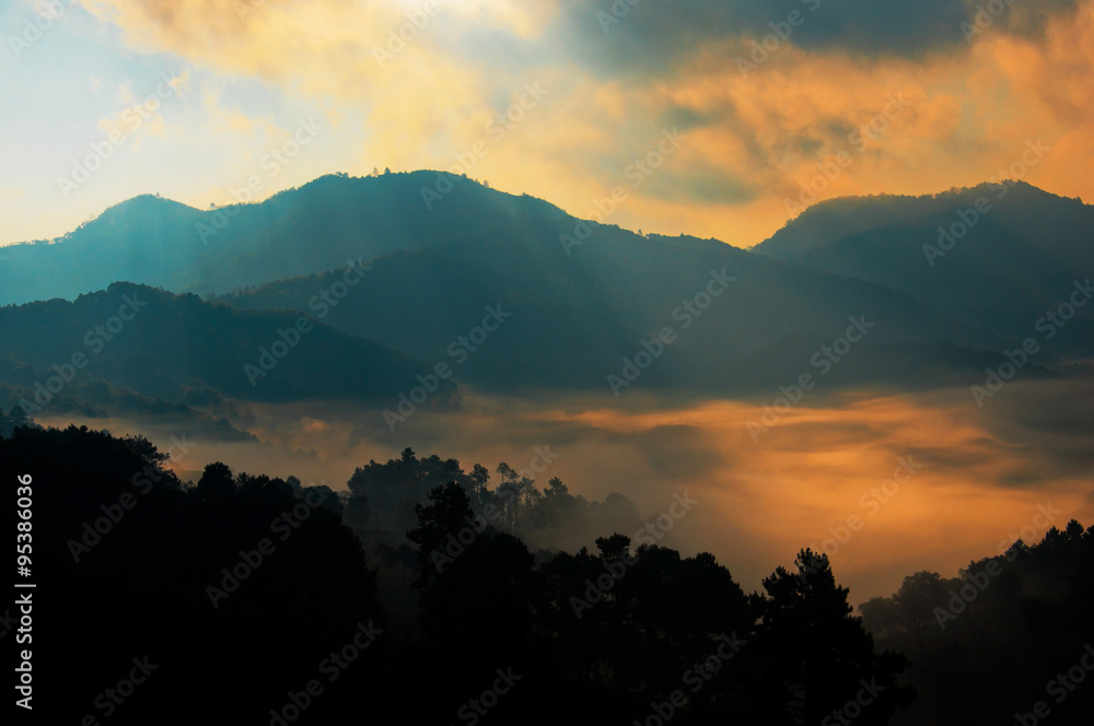 Beautiful landscape warm sunshine orange sunbeam on mist with mountain and silhouette tree in forest