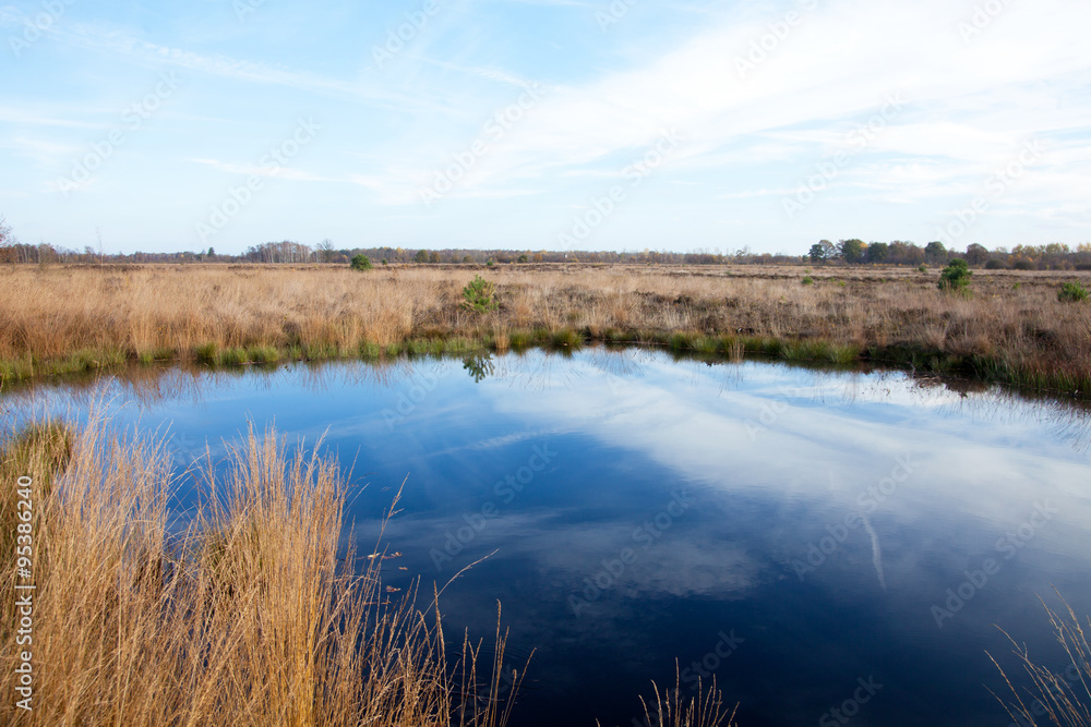 Fototapeta premium Moor Landschaft Natur