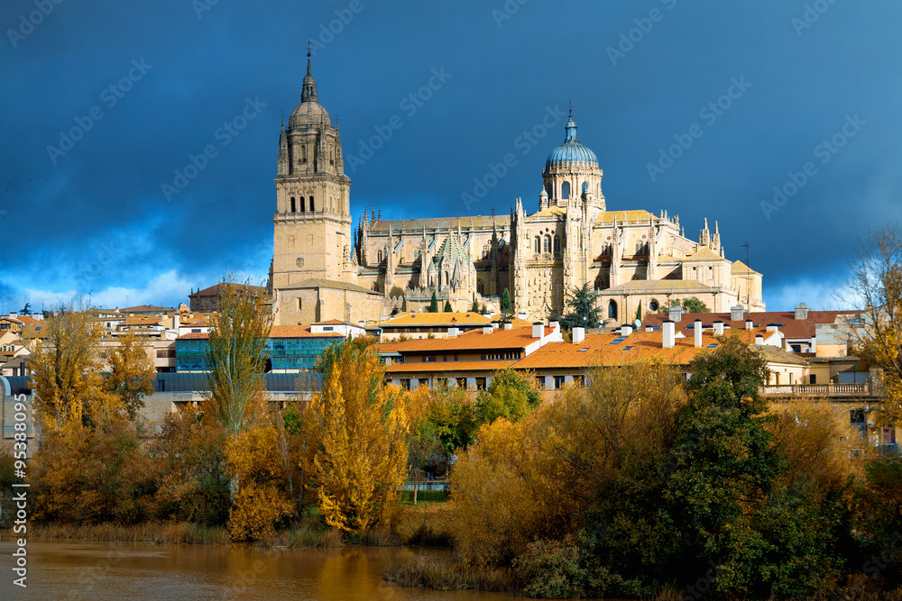 Salamanca Cathedral. Castile and Leon, Spain