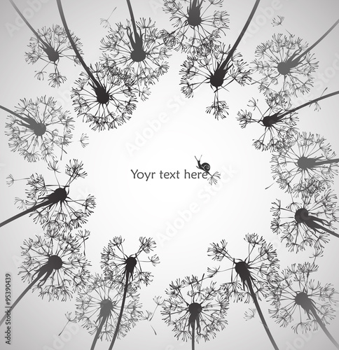 Fototapeta Naklejka Na Ścianę i Meble -  dandelion