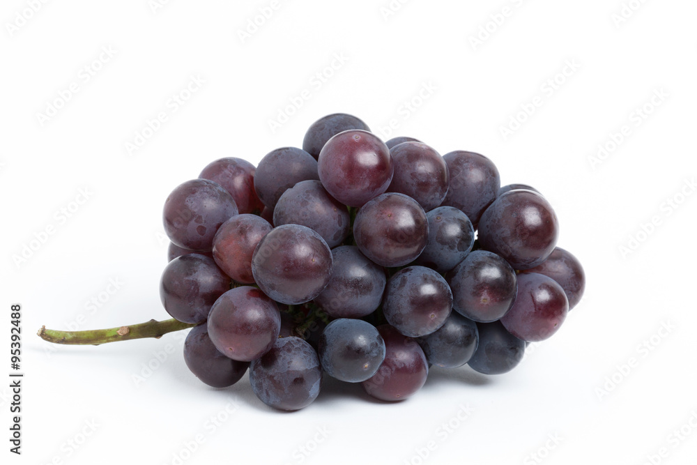 Fototapeta premium ブドウ ニューピオーネ 