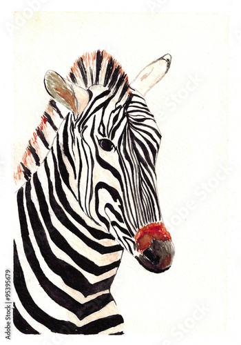 Watercolor wild Zebra art