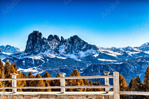 panorama of the Dolomites with snowy mountains and green conifer