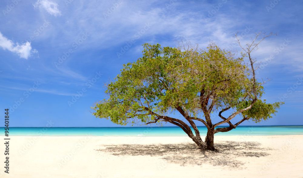 Exotic Beach in Dominican Republic, punta cana Exotic Beach in Dominican Republic, punta cana