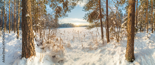 Winter snow-covered wood.