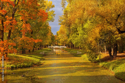 golden autumn in Catherine park, Tsarskoye Selo