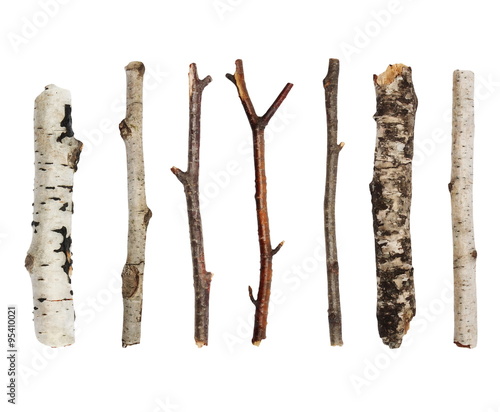 Photo Twigs, set macro dry branches birch isolated on white background,  with clipping