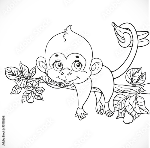 Cute monkey lazily lying on a branch and holds the tail of banan