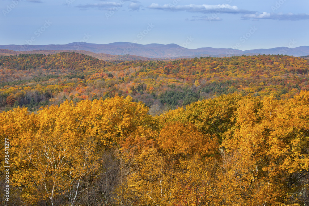 Fall foliage in woods of western Connecticut, from Mohawk Mountain. Fall foliage in woods of western Connecticut, from Mohawk Mountain.