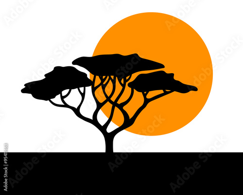 Vector african acacia background