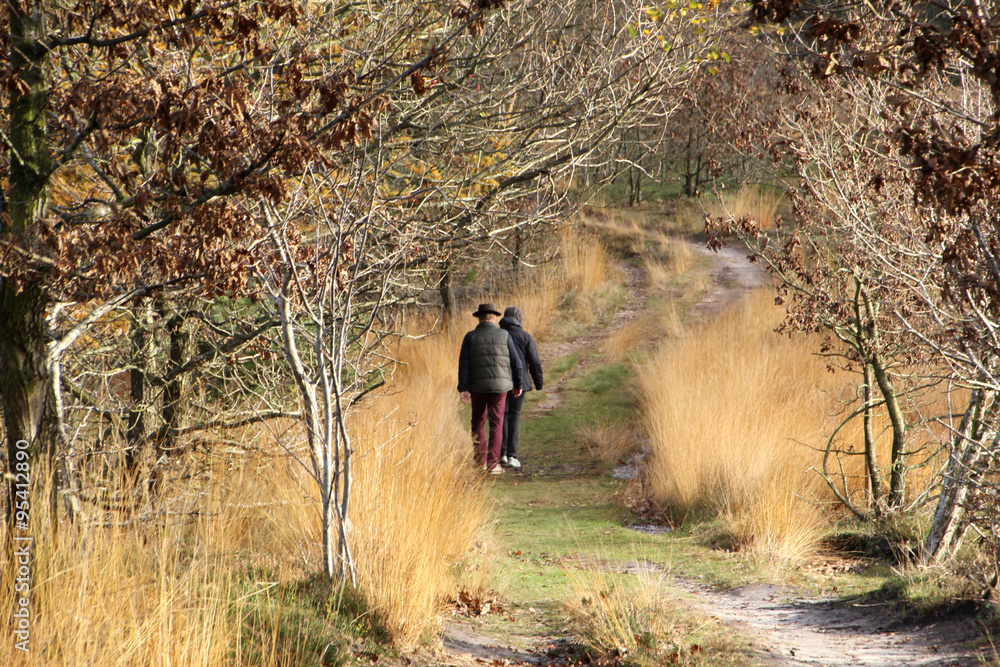 senior couple walking in autumn park senior couple walking in autumn park