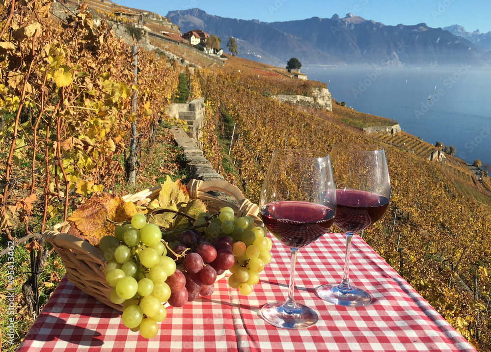 Wine and grapes. Lavaux, Switzerland