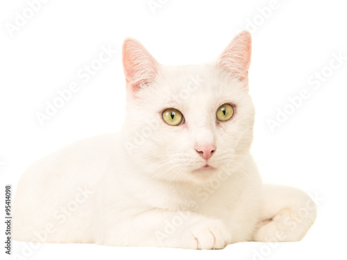 Fototapeta Naklejka Na Ścianę i Meble -  White cat lying down isolated on white background