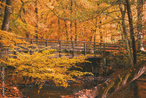 Fototapeta Naklejka Na Ścianę i Meble -  Brücke über den Bach im Herbstwald