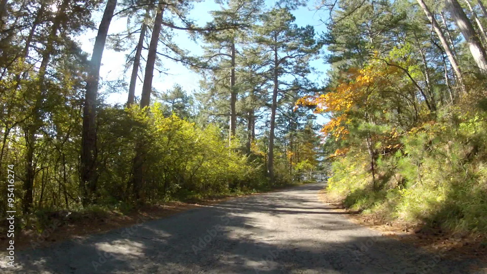a fascinating trip through the mountain forest in early autumn, GoPro
a fascinating trip through the mountain forest in early autumn, GoPro