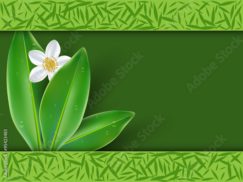 Jasmine tea with jasmine flowers