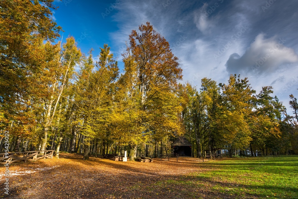 Park at Castle Sneznik in Slovenia