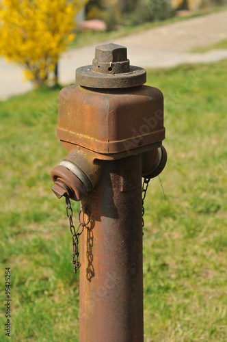 Rusty hydrant on blurred grass background.