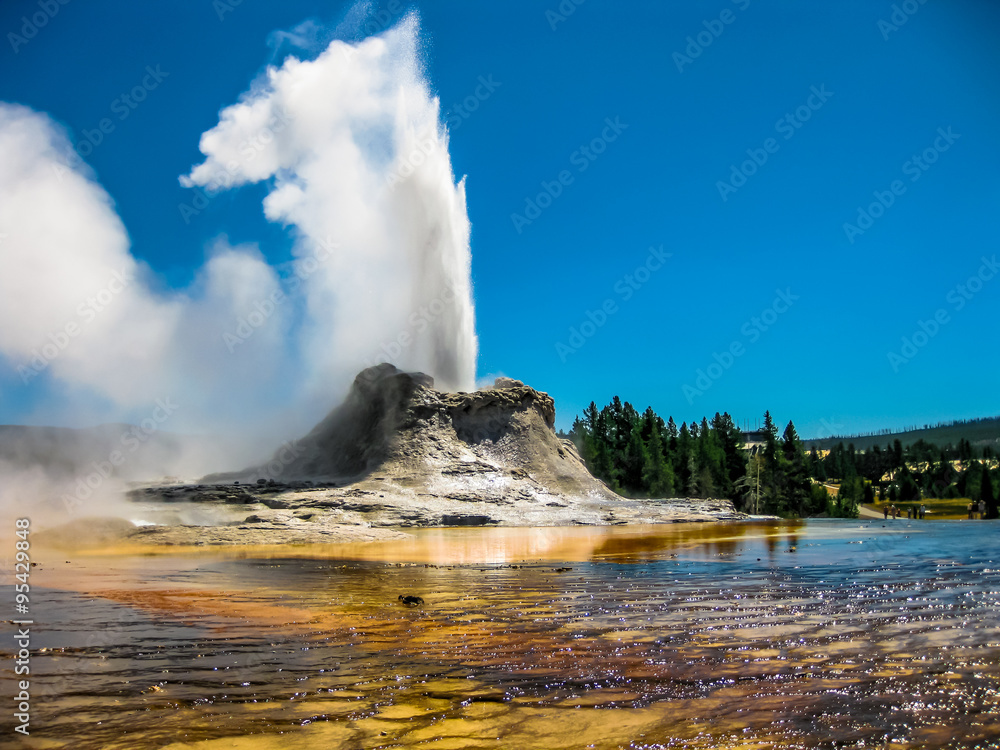 Fototapeta premium Wybuch gejzeru zamku Yellowstone