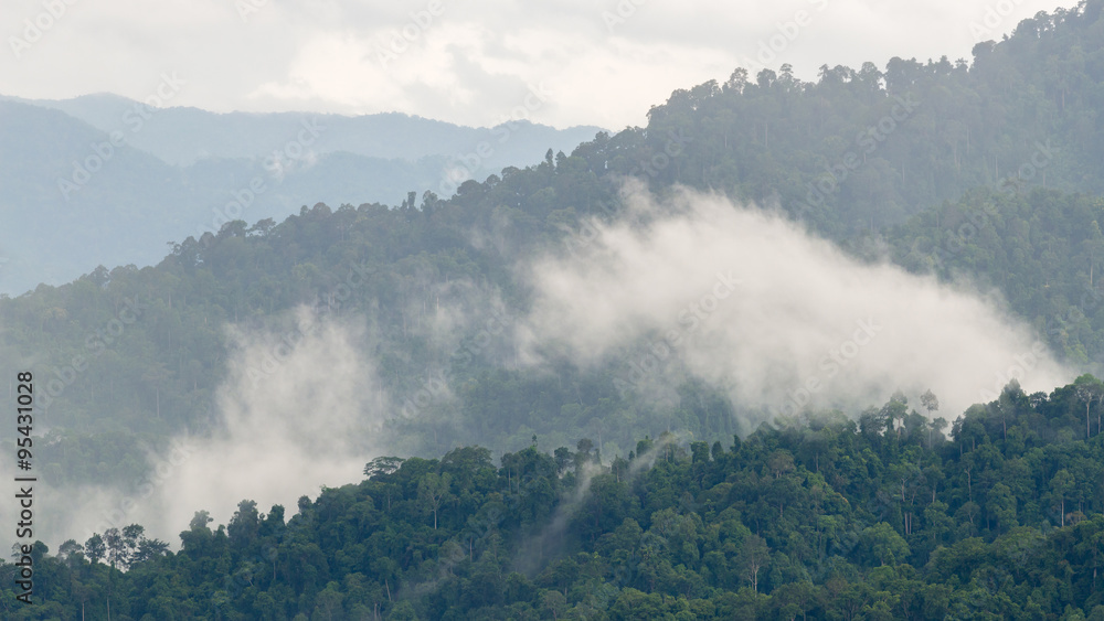 Layers of high mountain, foggy on rain forest.