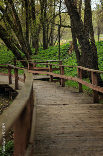 Wooden walkway in the forest.