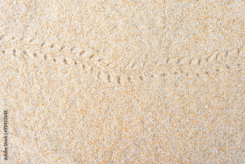 Hermit crab footprints on the sand