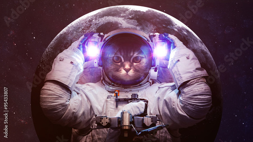 Fototapeta Piękny kot w kosmosie. Elementy tego obrazu dostarczone przez NASA