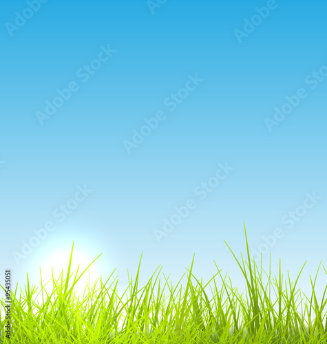 Green fresh grass and blue sky summer background
